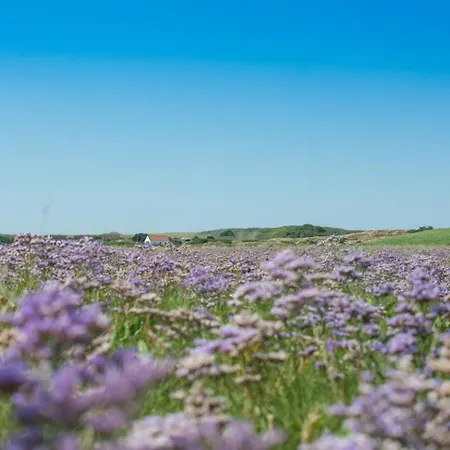 Appartementhaus Westerloog 20 Spiekeroog