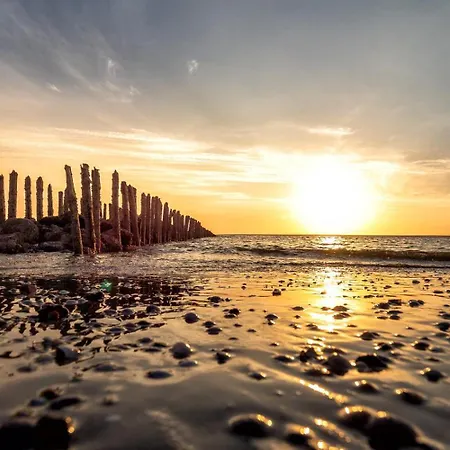 Apartamento Appartementhaus Westerloog 20 Spiekeroog